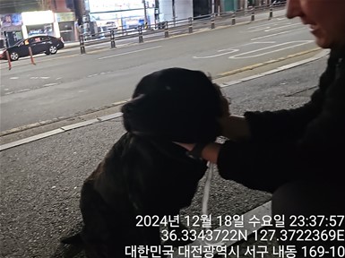 대전동물보호센터_430366202400851